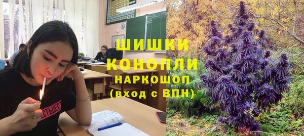 spice Богородицк