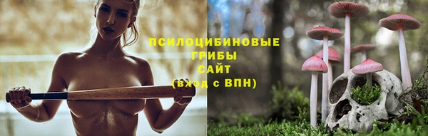 PSILOCYBIN Тында