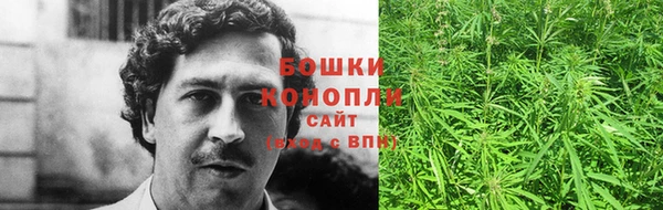 каннабис Аркадак
