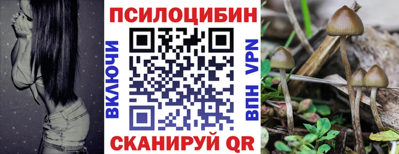 купить наркоту  blacksprut   Галлюциногенные грибы ЛСД  Томск 