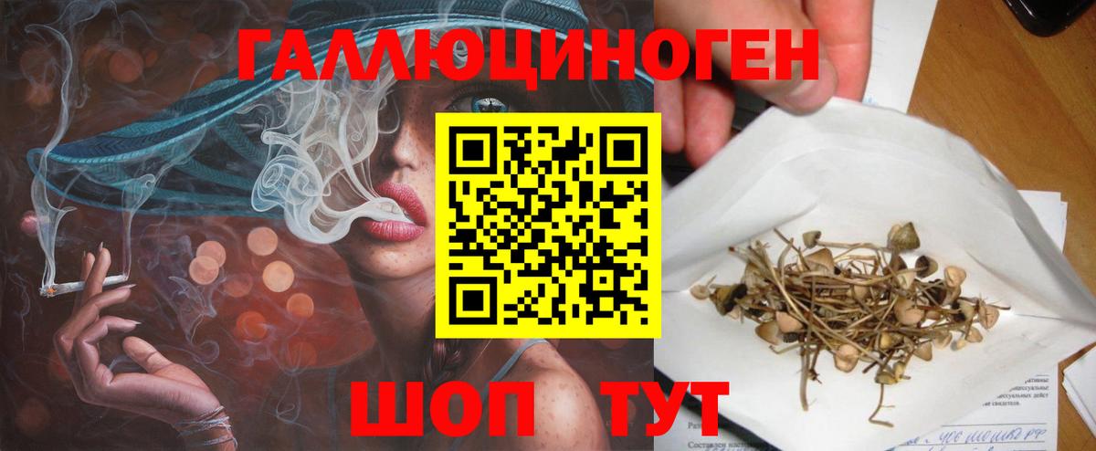 Томск  Псилоцибиновые грибы GOLDEN TEACHER  Вход с VPN 